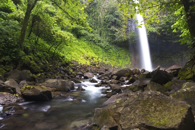 哥斯达黎加,拉福耳图那瀑布,阿雷纳火山,湿,热带气候,环境,水下落,枝繁叶茂,自然美,流水