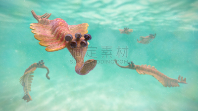 动物群,科学,寒武纪,风格,水栖哺乳动物,绘画插图,三维图形,史前时代,生物学,过去