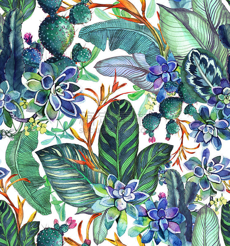 四方连续纹样,背景,肉质植物,叶子,植物学,鸡尾酒,水彩画颜料,太平洋岛屿,热带气候,香蕉叶