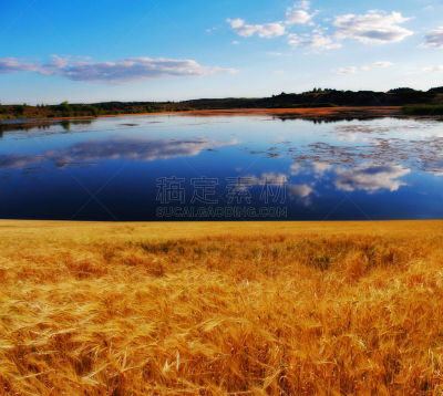 田地,克列尔湖,谷类,水,天空,美,水平画幅,无人,早晨,夏天