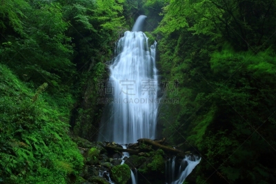 夏天,山谷,水,水平画幅,山,瀑布,无人,户外,植物,秋田县