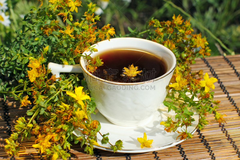 花茶,美,草原,芳香的,水平画幅,无人,夏天,户外,饮料,草