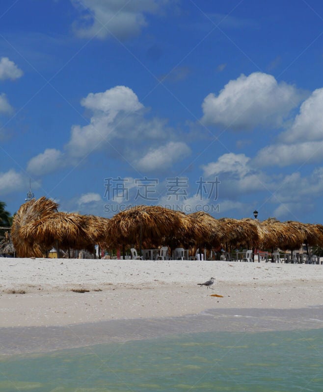 海滩,海洋,墨西哥,西沙尔龙舌兰,全景,暑假,垂直画幅,南美,水,天空