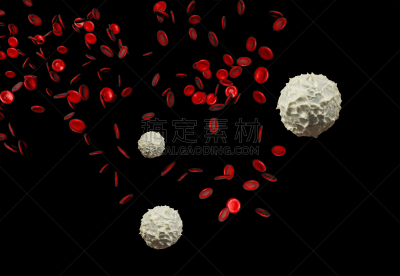 红色,白细胞,水平画幅,血细胞,科学,生物学,白色,三维图形