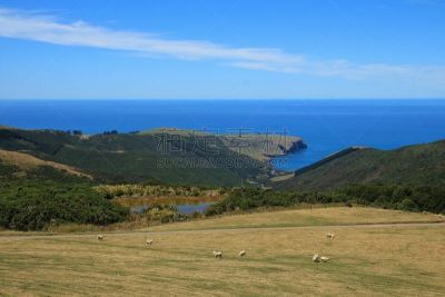 农场,海湾,水,天空,水平画幅,山,无人,班克斯半岛,澳大拉西亚