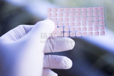 针灸,种子,人的耳朵,耳针疗法,中医,物理疗法,水平画幅,健康保健,标签
