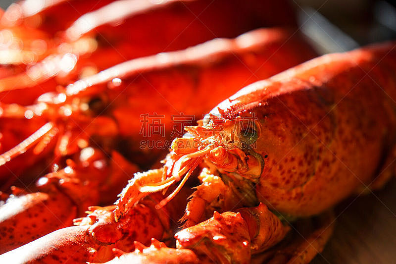 红色,龙虾,煮食,水平画幅,有机食品,海产,熟食店,华丽的,餐馆,晚餐