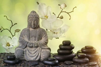 佛,风水,华丽的,东亚人,禅宗,中国,想法,印度,人体,东