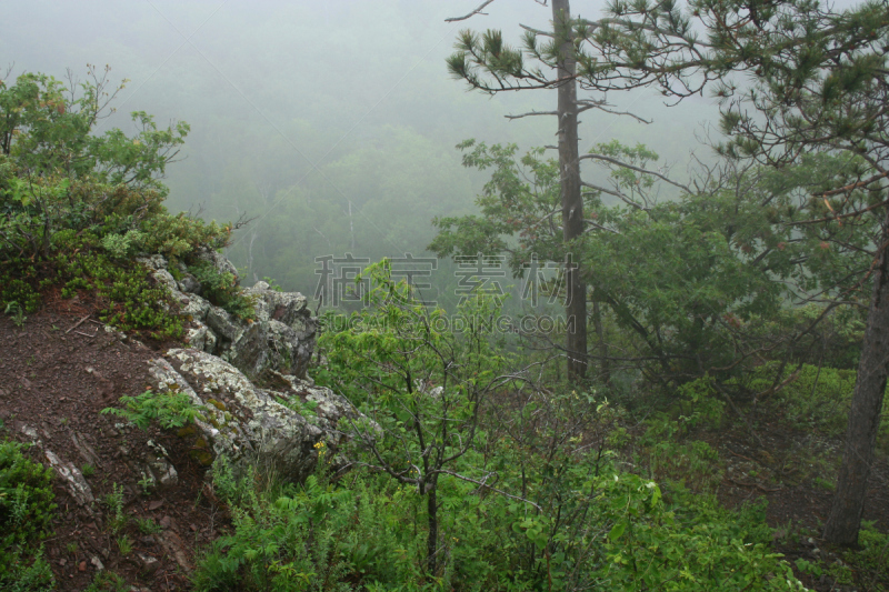 豪猪,山,波丘派恩山荒野地州立公园,州立公园,半岛,水平画幅,岩石,无人,夏天,户外