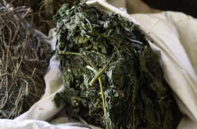 草药,熏衣草,顺势医学,巫毒教,药,复古风格,芳香疗法,植物,木制