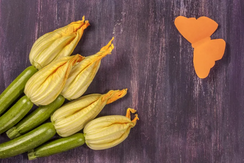 胡瓜 水平画幅 无人 黄色 蔬菜 食品 花 摄影图片素材下载 稿定素材