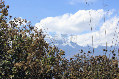 家畜,自然,天空,印加人文明,安地斯山脉,旅游目的地,水平画幅,地形,无人,户外