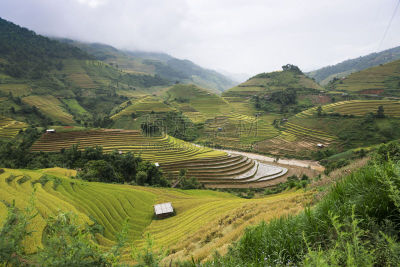 田地,越南,稻,mud pot,拉茶,城镇,萨帕,莱州,越南北河,老街省