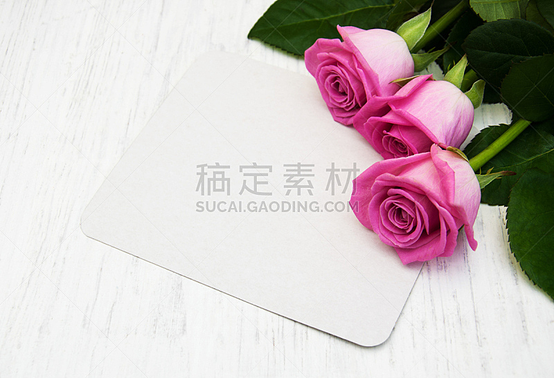 贺卡,玫瑰,粉色,留白,水平画幅,生日,花束,植物,情人节卡,生日礼物