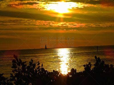 庞塞,水平画幅,无人,海港,户外,佛罗里达,热,海滩,热带气候,墨西哥湾沿岸国家