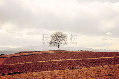 山,胡桃树,留白,停泊的,旷野,摩尔人风格,度假胜地,休闲活动,水平画幅,能源