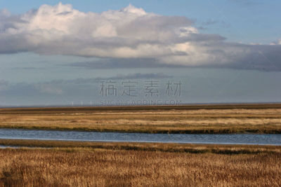 丹麦,岛,地形,水平画幅,芦苇,无人,夏天,户外,法诺,海洋