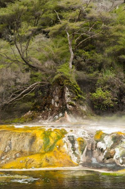 waimangu thermal park,火山,新西兰,梯田,山谷,罗托鲁阿,硫磺,垂直画幅,无人,火山地形