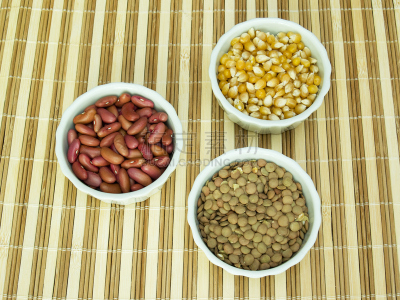 豆科植物,瓷器,容器,红花菜豆,收获节,水平画幅,膳食,餐饮服务职业,豆,彩色图片