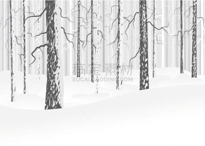 冬天,落叶树,森林,贺卡,公园,水平画幅,形状,雪