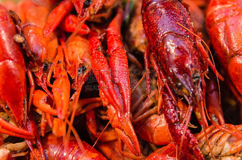 螯虾,煮食,水平画幅,小的,海产,香料,小吃,卡真式料理,凌乱,红色