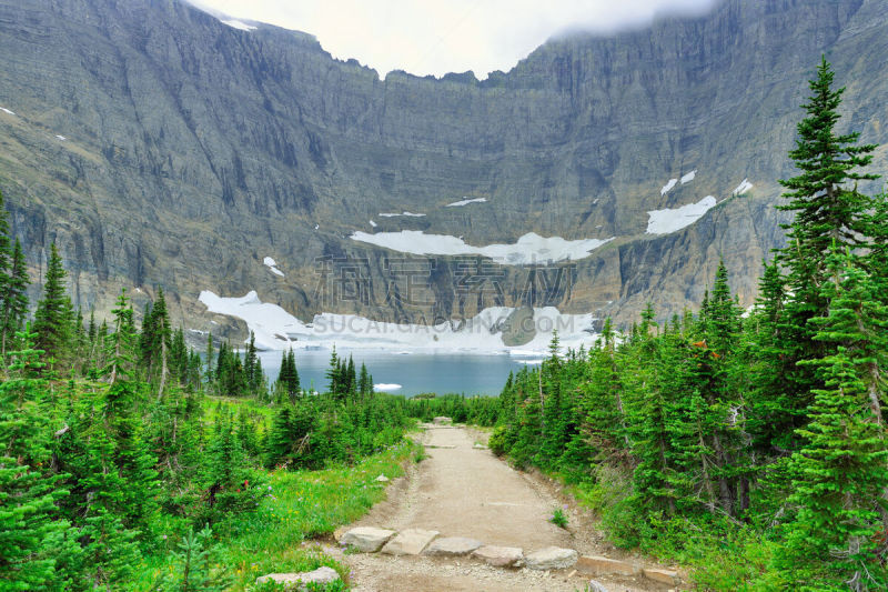 湖,阿根廷冰川国家公园,冰河,冰山,水平画幅,雪,夏天,周末活动,户外,针叶树