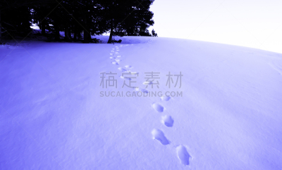 犹他,春天,2018,天空,美国西部,水平画幅,雪,无人,早晨,户外