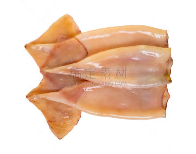 生食,特写,鱿鱼,水,水平画幅,软体动物,墨鱼,水下,海产,触须