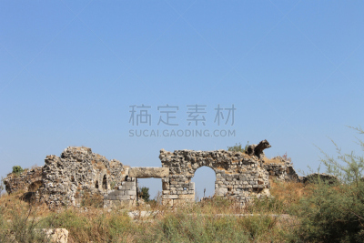 米利都,城市,古典希腊,圆形剧场,水平画幅,无人,过去,废墟,土耳其,亚洲