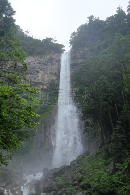 瀑布,日本,世界遗产,熊野古道,熊野市,枝繁叶茂,著名景点,河流,夏天,户外