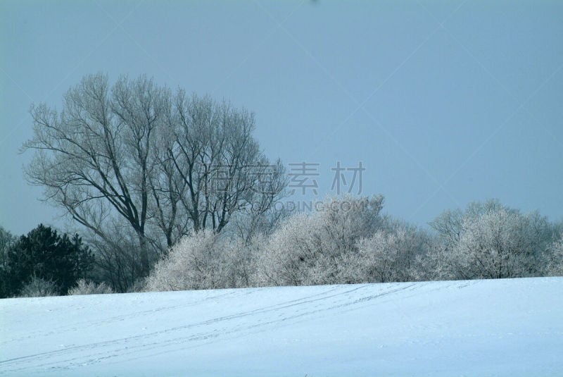 寒冷,水平画幅,冬天,林区,雪,无人,库克斯港,2015年,户外,摄影