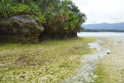 石垣岛,海湾,水平画幅,无人,户外,植物,海滩,热带气候,风景,岩石