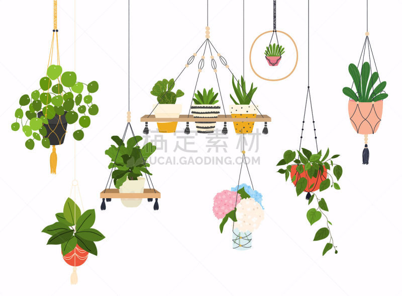 锅,组物体,钩针编织品,花盆,分离着色,植物群,室内植物,收集,布置