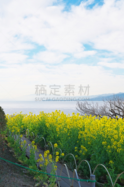 scenery from azumayamakouen
吾妻山公园からの风景