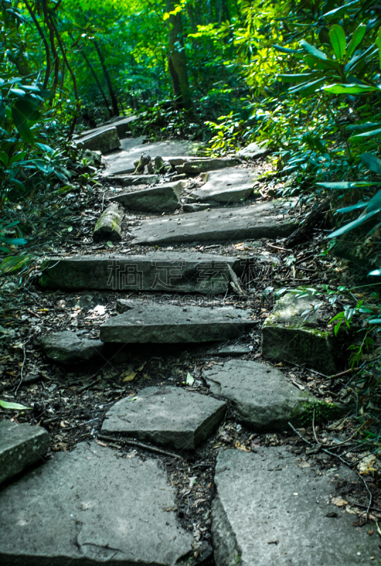 小路,石头,山,州立公园,南,块状,垂直画幅,图像,北卡罗来纳,灌木