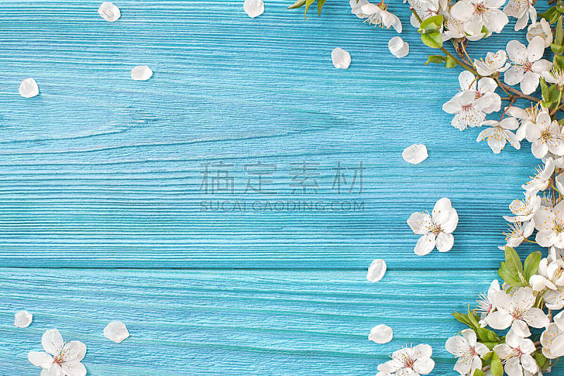 背景 春天 苹果花 苹果树 五月 植物茎 复活节 花纹 桌子 木制图片素材下载 稿定素材