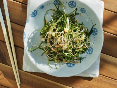 细香葱,成分,酱油,野生植物,调味品,韩国食物,蔬菜,清新,中文,香料
