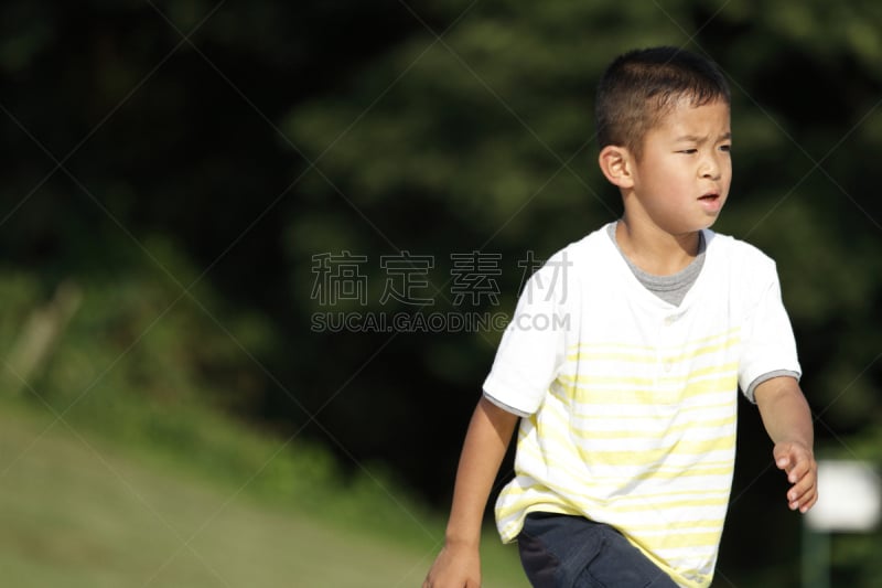 草,日本,小学,慢跑,男孩,秒针,平原镇,水平画幅,草坪,户外