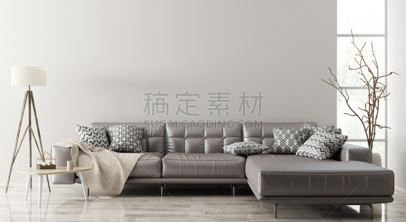 沙发,三维图形,起居室,室内,茶几,华贵,软垫,地板,现代,装饰物