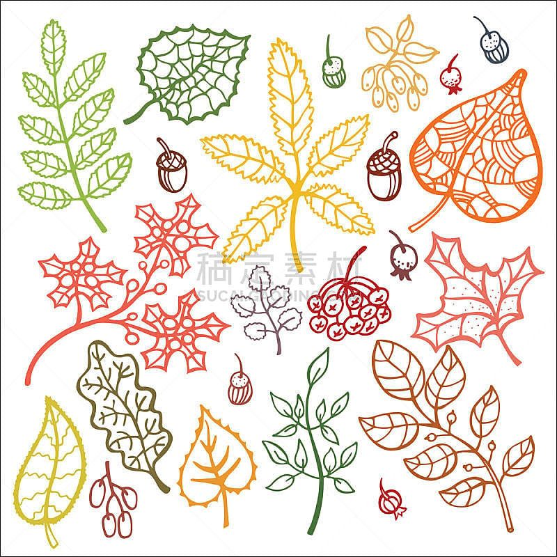轮廓,秋天,叶子,多色的,浆果,橡树果,枝,华丽的,纹理效果,十月