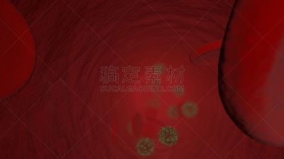 红细胞,毛细血管,人体动脉,血细胞,水平画幅,形状,科学,生物学,特写,人体静脉