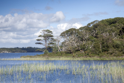 lough leane,小路,国内著名景点,餐馆,基拉尼,小别墅,自然,水,旅游目的地,水平画幅
