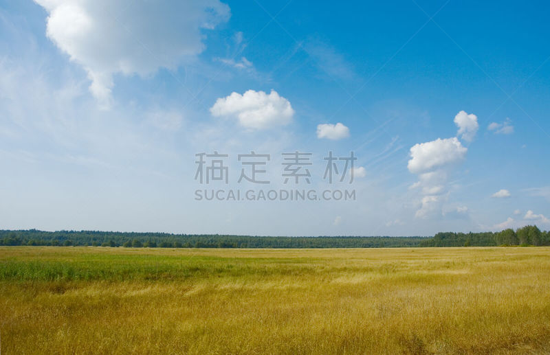 地形,天空,纯净,夏天,草,完美,明亮,面包,农作物,让路标志