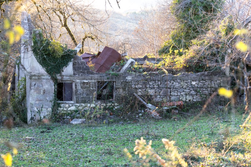 阿波卡次共和国,建筑外部,被抛弃的,屋顶,灌木林,黑刺莓,植物群,拆毁的,一月,苏呼米