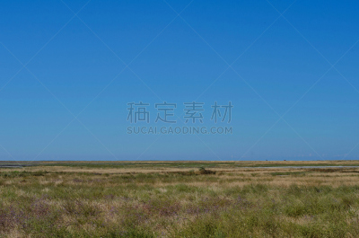 东欧大草原,干的,草,地形,池塘,黄色,风景,地下水,草原