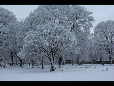 冬天,雪,自然,水平画幅,无人,2015年,米杜士堡,户外,摄影,树
