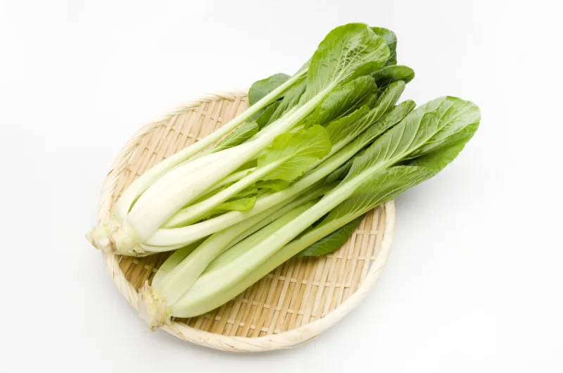 小松菜菠菜 小松菜菠菜图片 小松菜菠菜素材下载 稿定素材