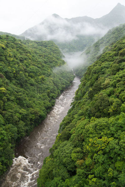 河流,肿胀的,安波河,屋久岛,垂直画幅,水,褐色,里山,无人,山