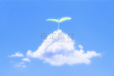 天空,云,蓝色,白色,自然,水平画幅,绿色,秧苗,地形,无人