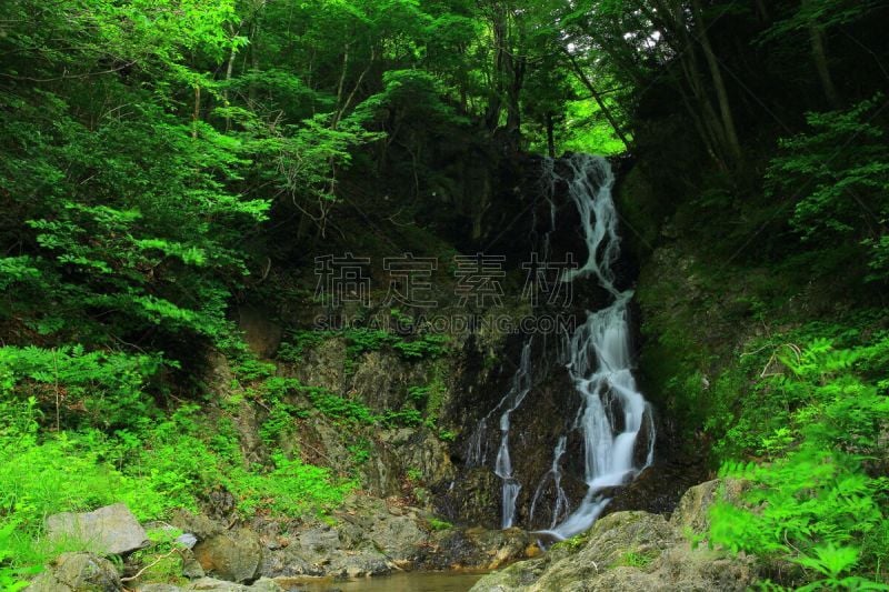 夏天,shiraito falls,水,水平画幅,瀑布,户外,植物,山,风景,东北片区